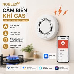 Cảm biến khí gas (LPG/CO)