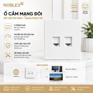 Ổ cắm mạng (RJ45)